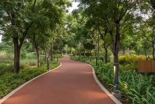 Jogging Track